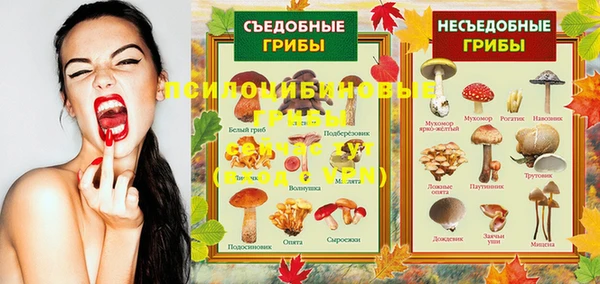прущие крисы Армянск